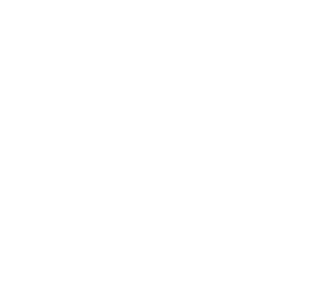 Downtown Commercial